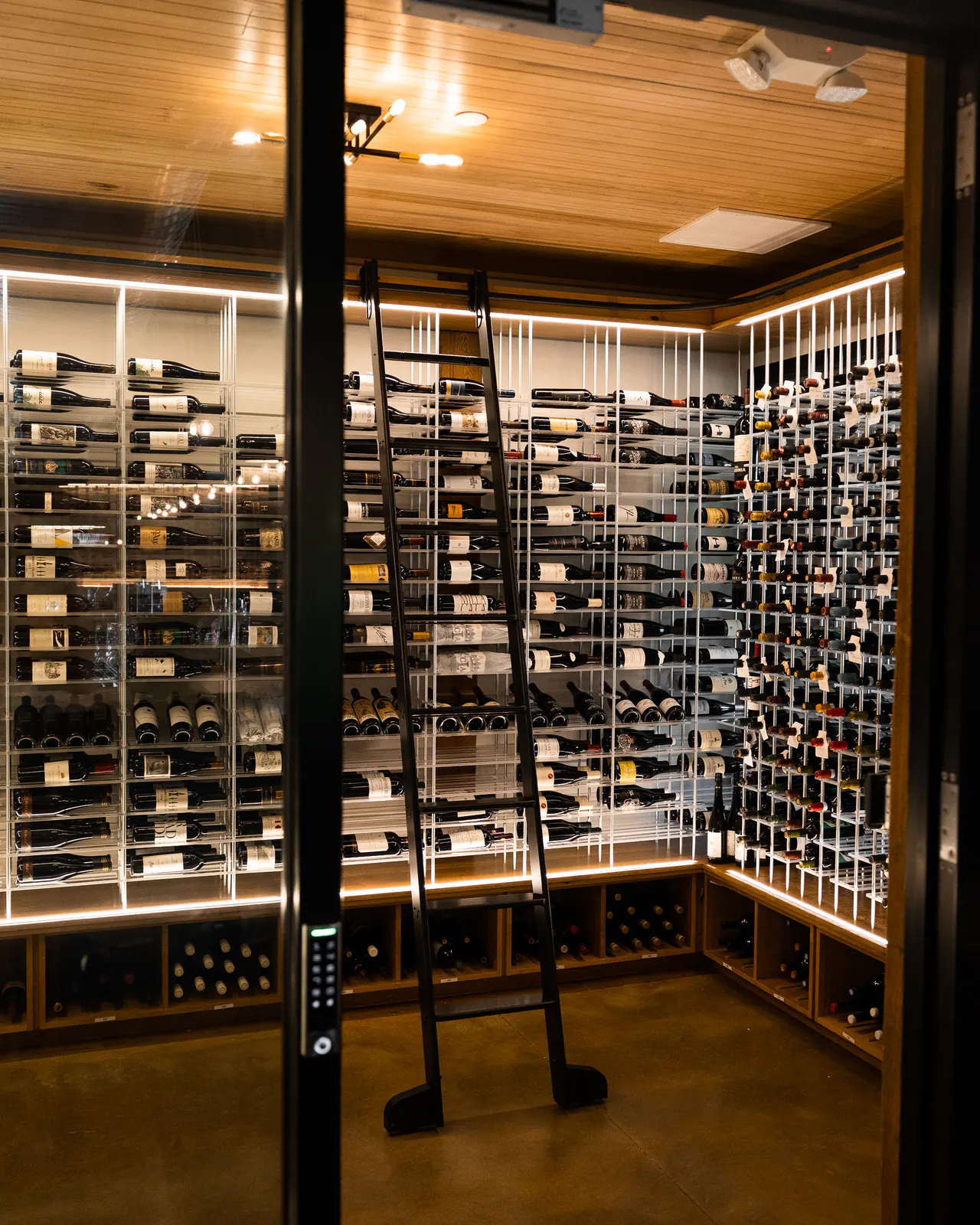 A wine room seen through a glass door: white steel racks edged with light, and a library ladder on a rail.