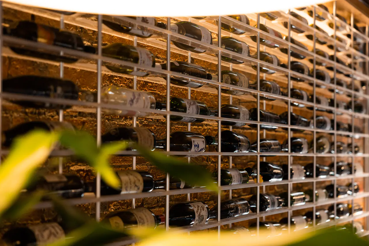 A wine wall seen through leaves.